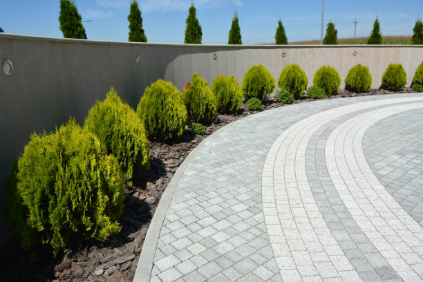 Best Commercial Driveway Pavers  in Elizabethtown, NC